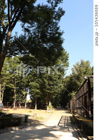 川崎市立 夢見ヶ崎動物公園 川崎市立 夢見ヶ崎動物公園 105436089