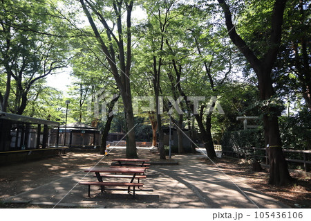 川崎市立 夢見ヶ崎動物公園 川崎市立 夢見ヶ崎動物公園 105436106
