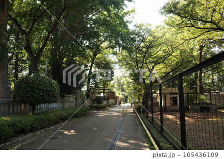 川崎市立 夢見ヶ崎動物公園 川崎市立 夢見ヶ崎動物公園 105436109