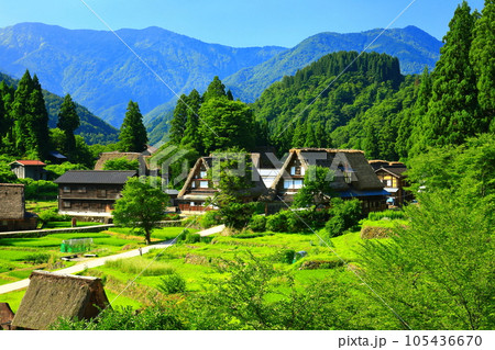 【富山県】新緑の五箇山相倉合掌集落の眺望 105436670