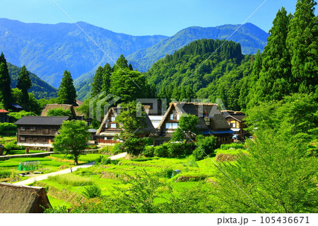 【富山県】新緑の五箇山相倉合掌集落の眺望 105436671