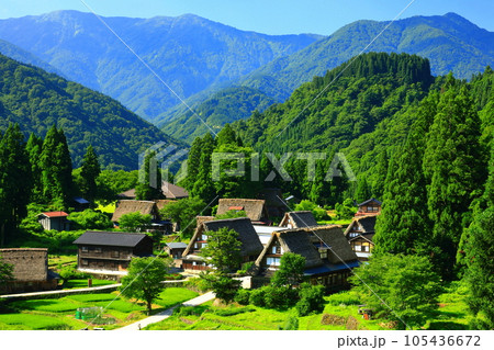【富山県】新緑の五箇山相倉合掌集落の眺望 105436672