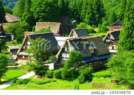 【富山県】新緑の五箇山相倉合掌集落の眺望 105436678