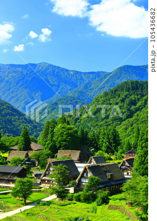 【富山県】新緑の五箇山相倉合掌集落の眺望 105436682