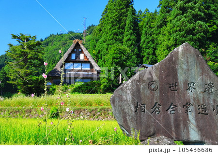 【富山県】新緑の五箇山相倉合掌集落 105436686