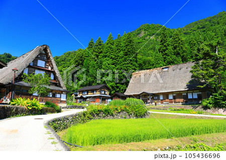 【富山県】新緑の五箇山相倉合掌集落 【富山県】新緑の五箇山相倉合掌集落 105436696