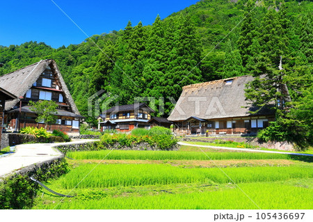 【富山県】新緑の五箇山相倉合掌集落 105436697