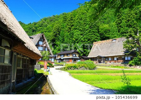 【富山県】新緑の五箇山相倉合掌集落 105436699
