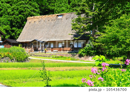 【富山県】新緑の五箇山相倉合掌集落 105436700