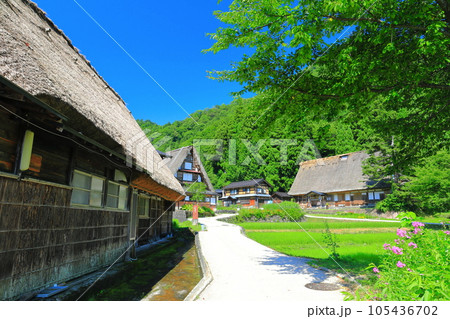 【富山県】新緑の五箇山相倉合掌集落 【富山県】新緑の五箇山相倉合掌集落 105436702