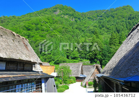 【富山県】新緑の五箇山相倉合掌集落 105436712