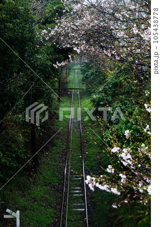 線路のある風景（春の桜） 105438778