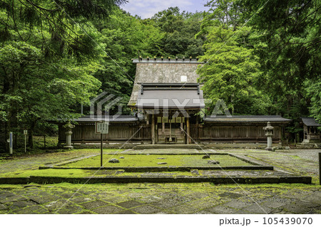 小浜 若狭彦神社 神門と本殿 福井県小浜市 小浜 若狭彦神社 神門と本殿 福井県小浜市 105439070