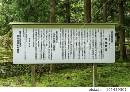 小浜　若狭姫神社　安産祈願　福井県小浜市 105439301