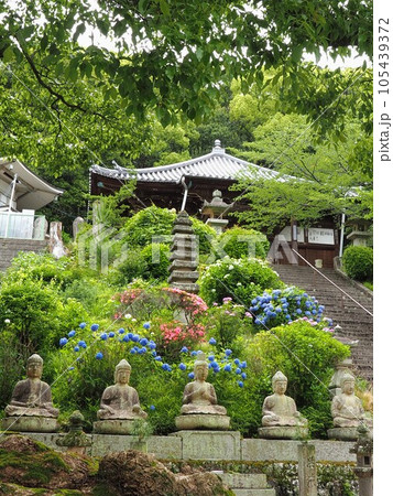 四国霊場第68番・神恵院【香川県観音寺市】2 105439372