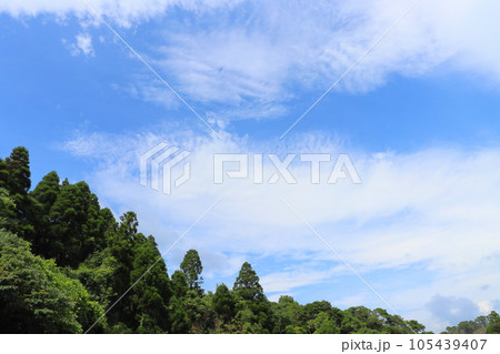 雲の多い空 樹木 雲の多い空 樹木 105439407