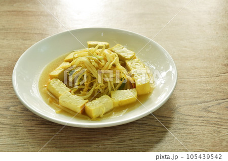 fried bean sprout with slice yellow tofu and chop pork on plate fried bean sprout with slice yellow tofu and chop pork on plate 105439542