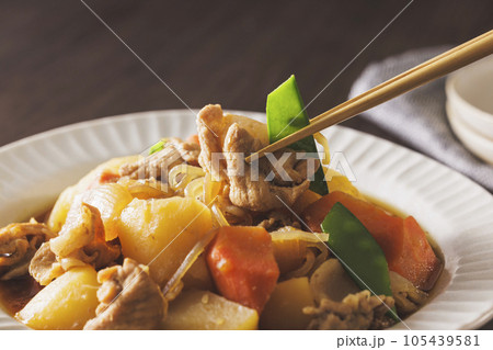 白い器に盛り付けた美味しそうな肉じゃが 白い器に盛り付けた美味しそうな肉じゃが 105439581