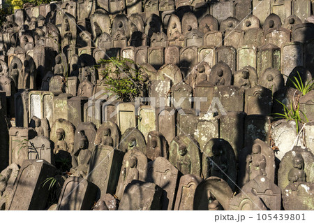 春の陽を浴びる無縁仏や墓石・文京区・深泉寺 105439801