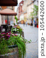 Flowers on the terrace . 105442600