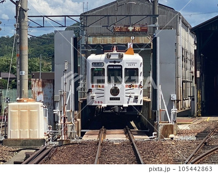 たま電車 たま電車 105442863