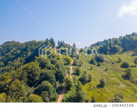 Summer Forest Road. Aerial Drone View 105443339