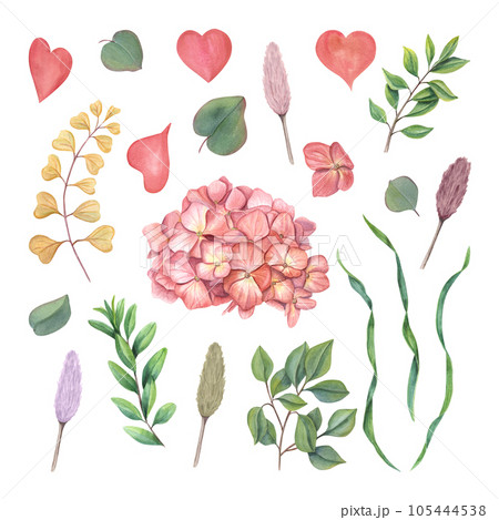 Set with hydrangea, greenery, abstract plants, lagurus spikelet and pink hearts. Bright clipart in autumn trendy colors. Watercolor illustration isolated on white background 105444538