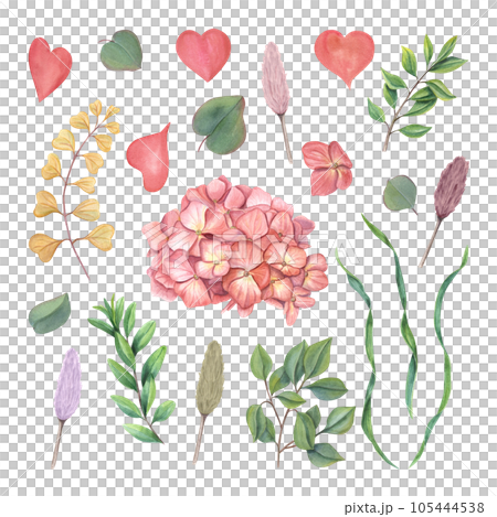 Set with hydrangea, greenery, abstract plants, lagurus spikelet and pink hearts. Bright clipart in autumn trendy colors. Watercolor illustration isolated on white background 105444538