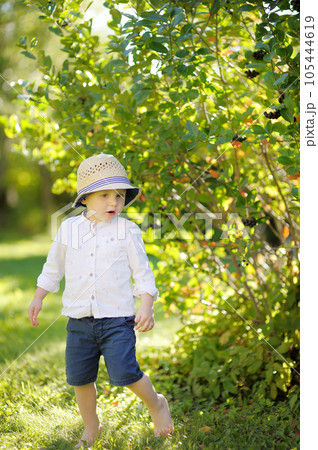Cute baby runs around the garden on a hot summer day 105444619