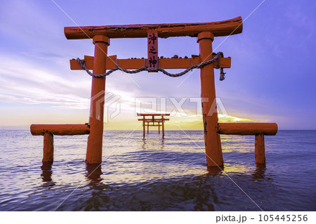 有明海の神秘的な風景　大魚神社の海中鳥居　（佐賀県） 105445256