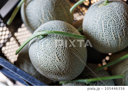 メロン 105446356