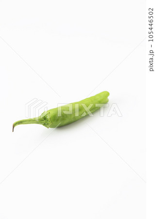 獅子唐 白バック 獅子唐 白バック 105446502