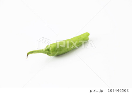 ししとう 白バック ししとう 白バック 105446508