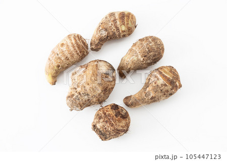 里いも　白背景 105447123