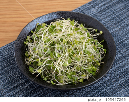 ブロッコリースプラウト 105447266