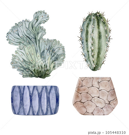Set of clay pots and cute houseplants. Cactus and succulent. Watercolor illustration 105448310