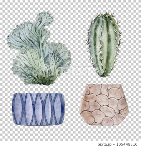 Set of clay pots and cute houseplants. Cactus and succulent. Watercolor illustration 105448310