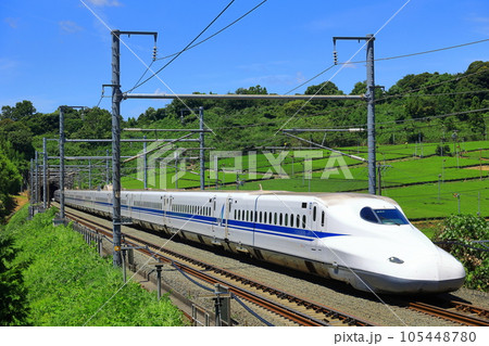 菊川の茶畑と新幹線 105448780