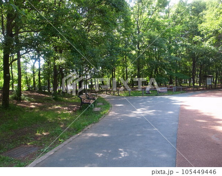 西東京いこいの森公園 105449446