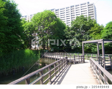 西東京いこいの森公園 105449449