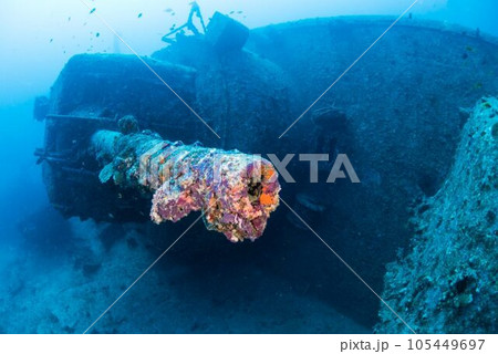 沈没船の主砲 105449697