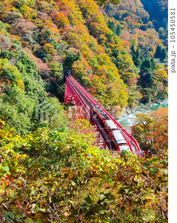 秋の黒部峡谷:トロッコ電車 秋の黒部峡谷:トロッコ電車 105450581