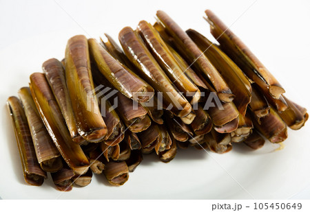 Clams ensis on white surface 105450649