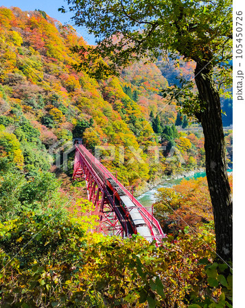 秋の黒部峡谷：トロッコ電車 105450726