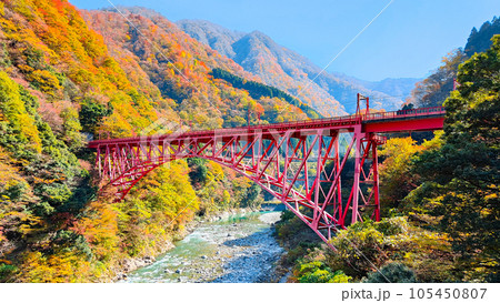 秋の黒部峡谷:新山彦橋 秋の黒部峡谷:新山彦橋 105450807