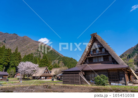 富山県五箇山 桜咲く春の菅沼合掌造り集落 富山県五箇山 桜咲く春の菅沼合掌造り集落 105451038