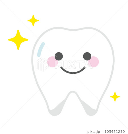 健康な歯 02 健康な歯 02 105451230