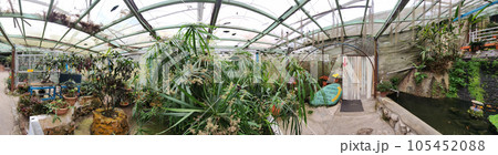 Panorama Greenhouse: Where Plants and Butterflies Flourish Panorama Greenhouse: Where Plants and Butterflies Flourish 105452088