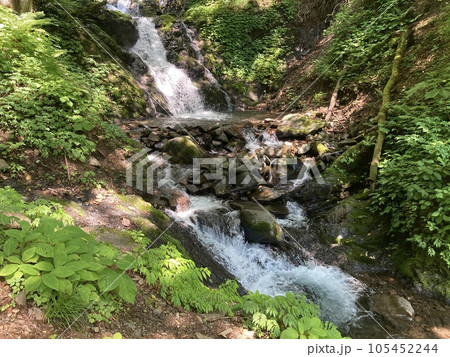流れ落ちる白い滝「白滝」 流れ落ちる白い滝「白滝」 105452244