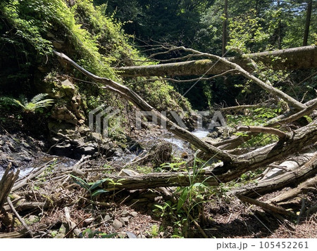 流れ落ちる白い滝「白滝」 105452261